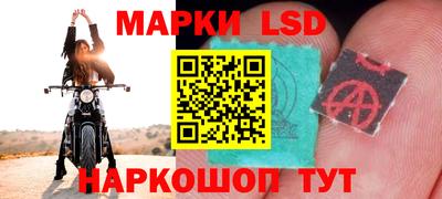 крисы Бийск