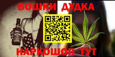 крисы Бийск