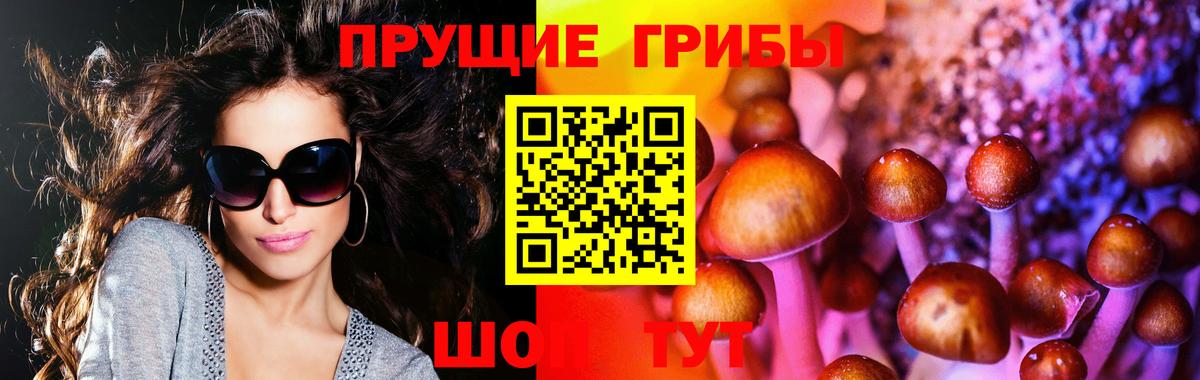 Галлюциногенные грибы Magic Shrooms Ижевск