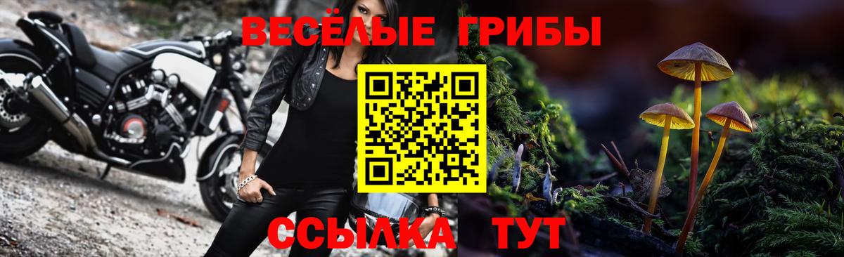 Ижевск  Псилоцибиновые грибы MAGIC MUSHROOMS  Вход с VPN 